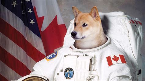 “­A­s­t­r­o­n­o­t­l­a­r­ı­n­ ­S­a­ğ­l­ı­ğ­ı­ ­İ­ç­i­n­ ­U­z­a­y­a­ ­D­a­h­a­ ­F­a­z­l­a­ ­K­ö­p­e­k­ ­G­ö­n­d­e­r­i­l­m­e­l­i­”­